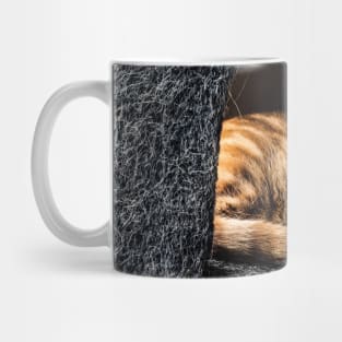 Hideaway kitty Mug